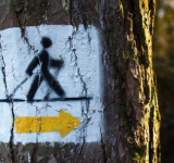 POMÁHA NORDIC WALKING ZVYŠOVAŤ DLHOVEKOSŤ?